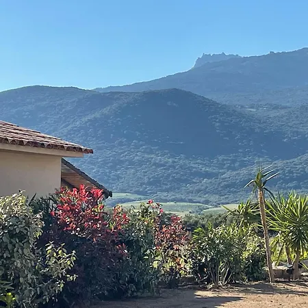 Patios Di Pruno * Figari (Corsica)