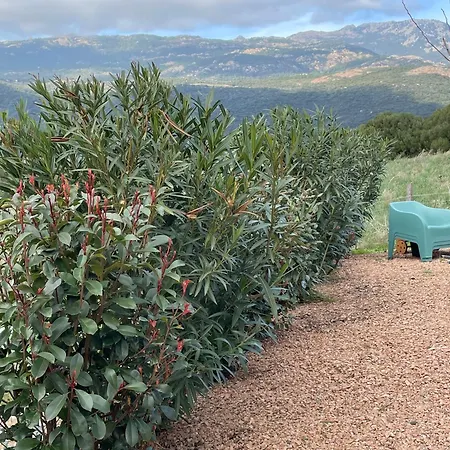 Patios Di Pruno Prázdninový dům Figari (Corsica)
