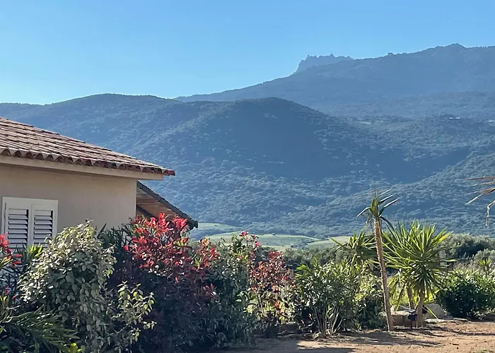 Patios Di Pruno * Figari (Corsica)