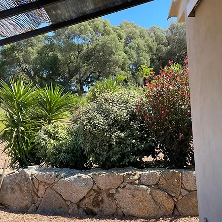 Patios Di Pruno T2