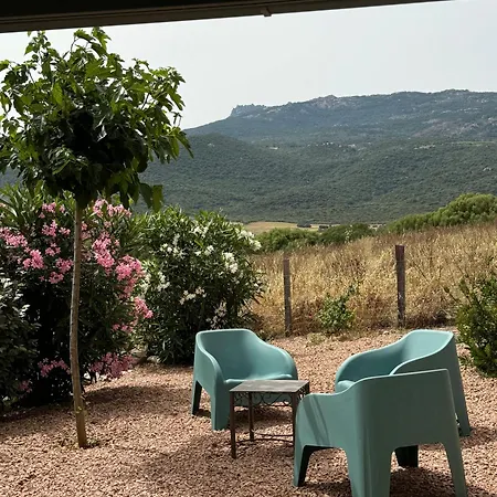 Holiday home Patios Di Pruno T2 Figari (Corsica)