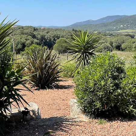 Patios Di Pruno T2 Holiday home Figari (Corsica)