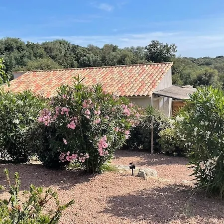 Holiday home Patios Di Pruno T2 Figari (Corsica)