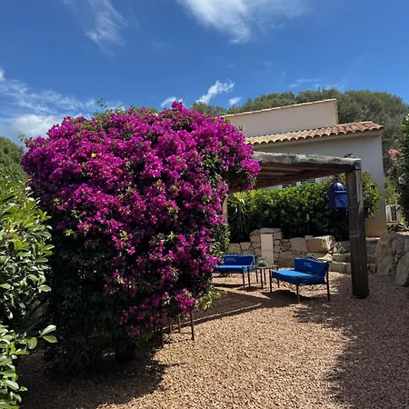 Patios Di Pruno T2 * Figari (Corsica)