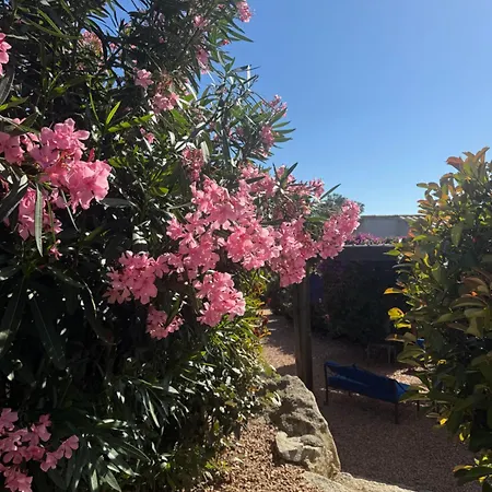 Patios Di Pruno T2 Holiday home Figari (Corsica)