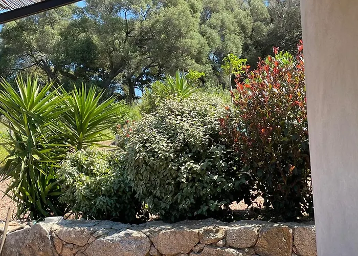 Patios Di Pruno