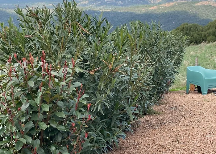 Patios Di Pruno 度假居 菲加里