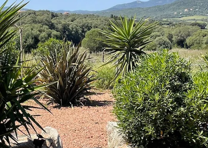 Patios Di Pruno Ferienhaus Figari (Corsica)